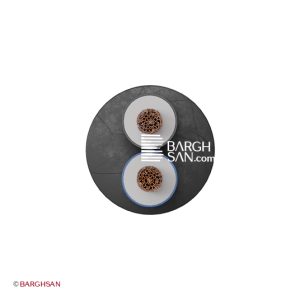 کابل برق افشان 4×2 افشارنژاد خراسان از زاویه سه بعدی