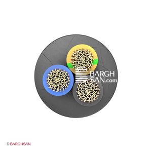 کابل افشان سه رشته افشارنژاد سایز 3*10 از زاویه روبرو