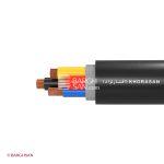 کابل برق افشان 3*120+70 افشارنژاد خراسان از زاویه کناری