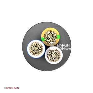 کابل افشان سه رشته افشارنژاد سایز 3*4 از زاویه روبرو