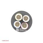 کابل افشان چهار رشته افشارنژاد سایز 4*1.5 از زاویه روبری