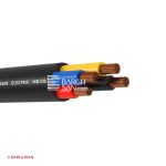 کابل افشان چهار رشته افشارنژاد سایز 4*10