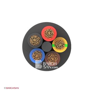 کابل افشان پنج رشته افشارنژاد سایز 5*10 از زاویه روبرو