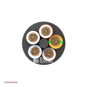 کابل افشان پنج رشته افشارنژاد سایز 4*5 از زاویه روبرو