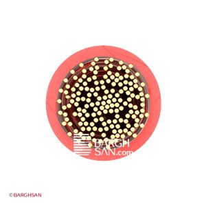 سیم افشان سایز 50 افشارنژاد خراسان از زاویه رو به رو