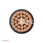 کابل برق مفتول 1*185 افشارنژاد خراسان از زاویه رو به رو