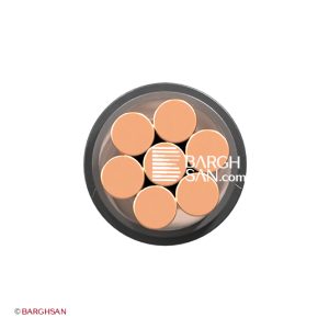 کابل برق مفتول 1*25 افشارنژاد خراسان از زاویه رو به رو