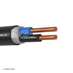 کابل برق مفتول 2*10 افشارنژاد خراسان