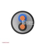 کابل برق مفتول 2*10 افشارنژاد خراسان از زاویه رو به رو