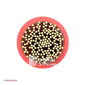 سیم افشان سایز 185 افشارنژاد خراسان از زاویه رو به رو