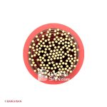 سیم افشان سایز 70 افشارنژاد خراسان از زاویه رو به رو