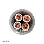 کابل افشان شیلددار افشارنژاد سایز 1*4 از زاویه روبرو