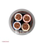 کابل افشان شیلددار افشارنژاد سایز 2.5*4 از زاویه روبرو