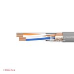 کابل تلفن دو زوج خراسان افشارنژاد از زاویه کناری