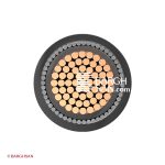 کابل آرموردار خراسان 1*300 زاویه رو به رو