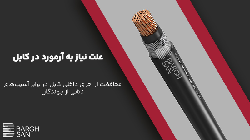 علت نیاز به آرمورد در کابل