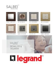 کلید سری سالبی