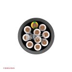 کابل کنترل افشان 10*1 افشارنژاد خراسان از زاویه روبرو