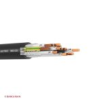 کابل کنترل افشان 10*1 افشارنژاد خراسان