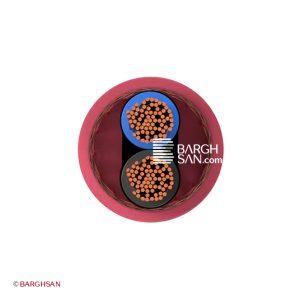 کابل اعلام حریق 2*2.5 افشارنژاد خراسان از زاویه روبرو