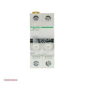 فیوز مینیاتوری 2 پل 40 آمپر کلاس B اشنایدر سری Acti9 زاویه رو به رو