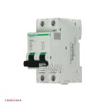 کلید مینیاتوری دو پل 16 آمپر کلاس C سری Multi9