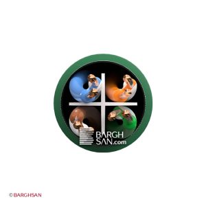 ساختار کابل شبکه Cat6 SFTP PVC سیمیا از زاویه رو به رو