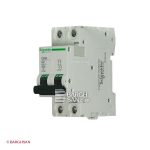 فیوز مینیاتوری دو پل 32 آمپر کلاس B اشنایدر سری multi9