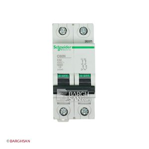 فیوز مینیاتوری دو پل 32 آمپر کلاس c اشنایدر سری multi9 زاویه رو به رو