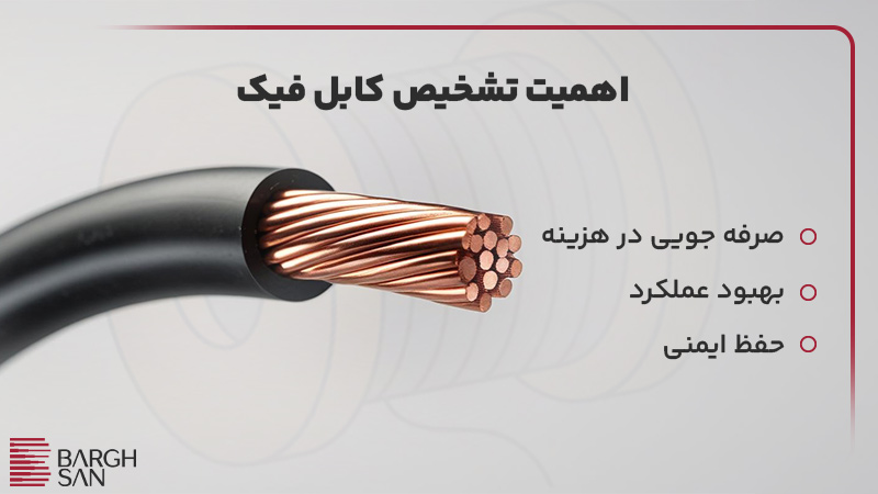 اهمیت تشخیص کابل فیک