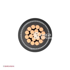 کابل برق 1 در 50 خراسان NYRY از نمای روبرو