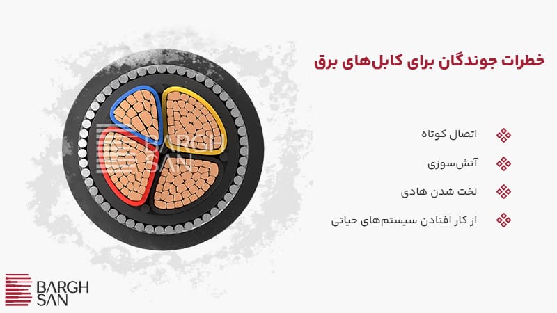 خطرات جوندگان برای کابل های برق