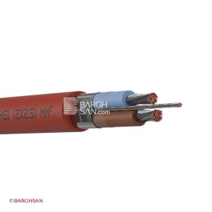 کابل سیلیکونی 2 در 2.5 فویل و درین وایر یاقوت